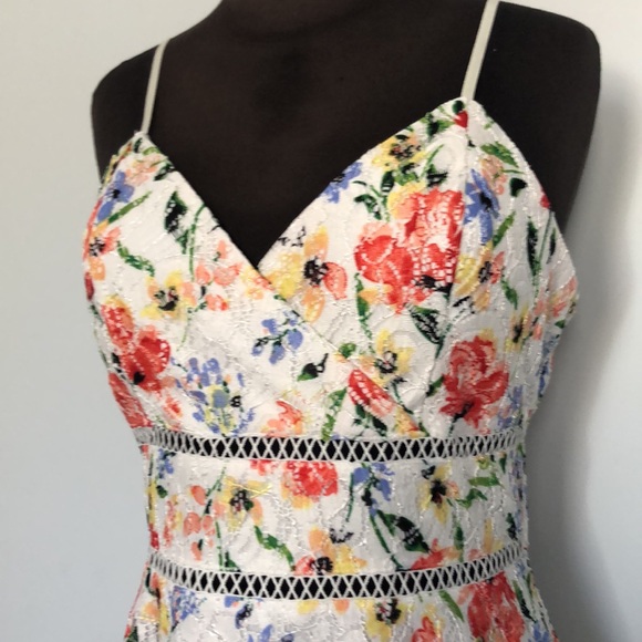 Floral Lace Fit and Flare Dress - Picture 3 of 6